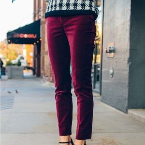 Talbots curvy velvet pants